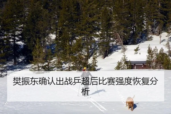 樊振东确认出战乒超后比赛强度恢复分析 - MKSports